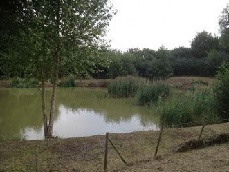 Holyfield Carp Fishery Waltham Abbey