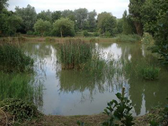 Holyfield Carp Fishery Waltham Abbey