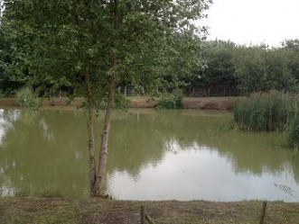 Holyfield Carp Fishery Waltham Abbey