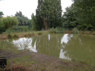 Holyfield Carp Fishery Waltham Abbey